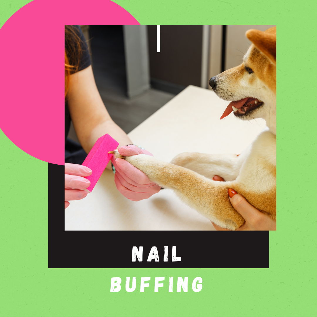 what is nail buffing for dogs